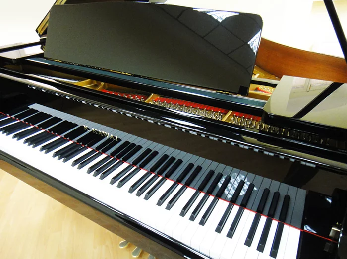 Чёрный K. Kawai