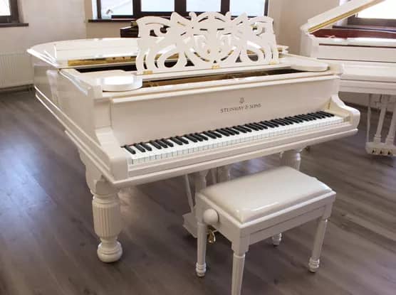 Дизайнерский Steinway & Sons