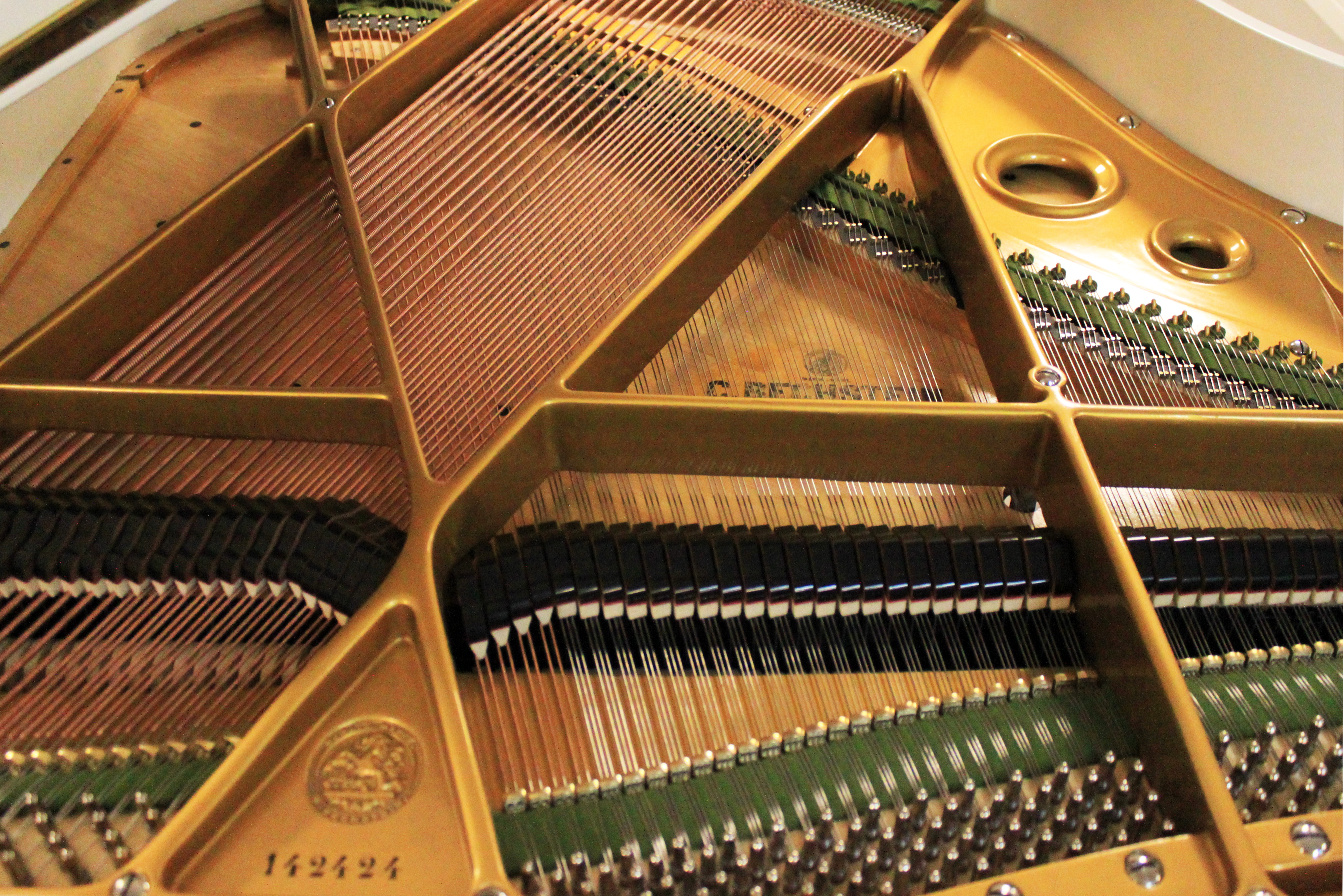 Белый C. Bechstein