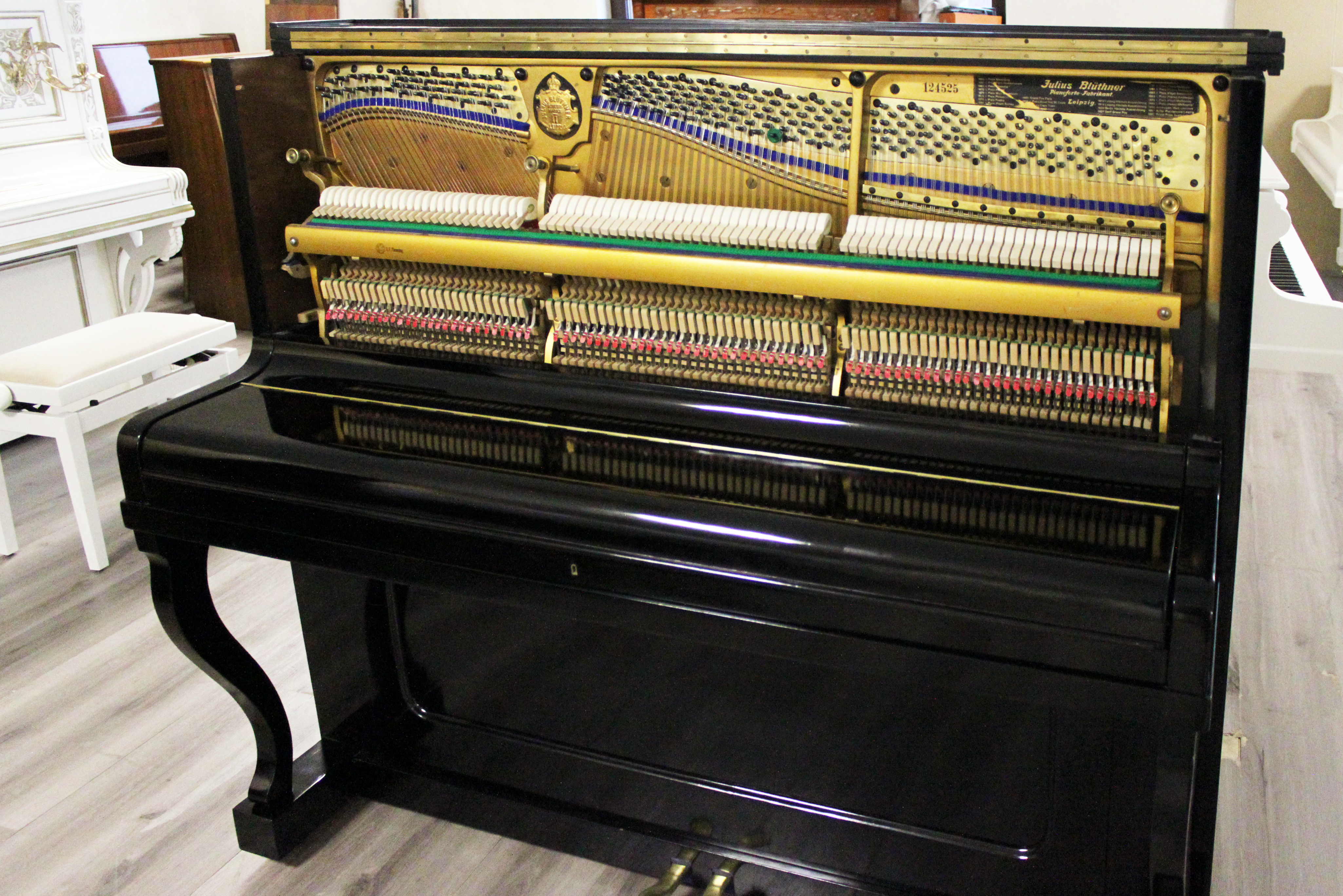 Механизм Blüthner